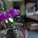 The Trastevere Penthouse Experience